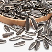 净重内蒙古新货颗粒原味瓜子葵花籽新鲜炒货散装焦糖零食休闲批发