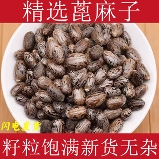���ڱ�������ș�ı����ѱ������ʸ�؛M�w���t�����ӱ����ӷN��