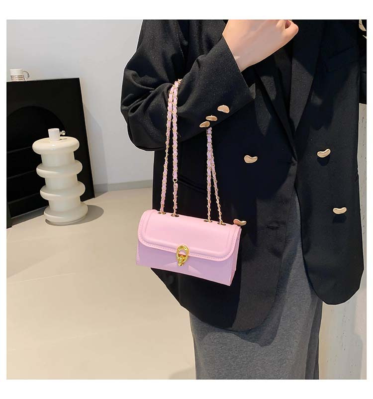 Cataramă cu lanț, ocazional, crossbody cu umăr, personalitate, culoare solidă, simplu 2024, frumos, pătrat mic, pentru femei_voghion.com