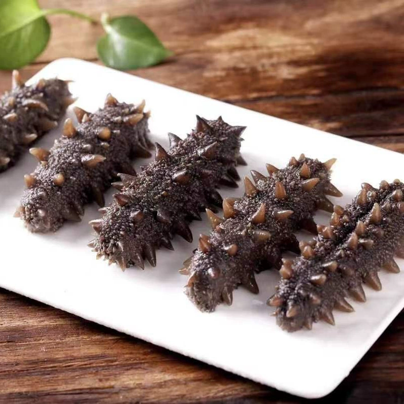 Отличная текстура и вкус 5А. Готовый к употреблению морской огурец от производителя Guishantang, жевательные морепродукты, морской огурец из Даляня, морской огурец из Ляонина для ресторанов.