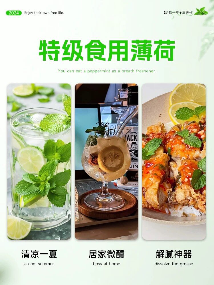 Gallery 2