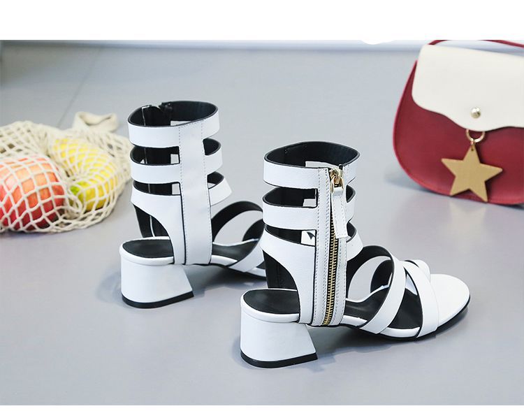 2019031919542345769516_副本