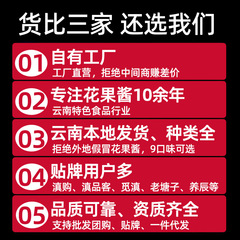 農科院雲南滇初玫瑰醬花釀鮮花醬果醬冰粉配料批發代發早餐麵包
