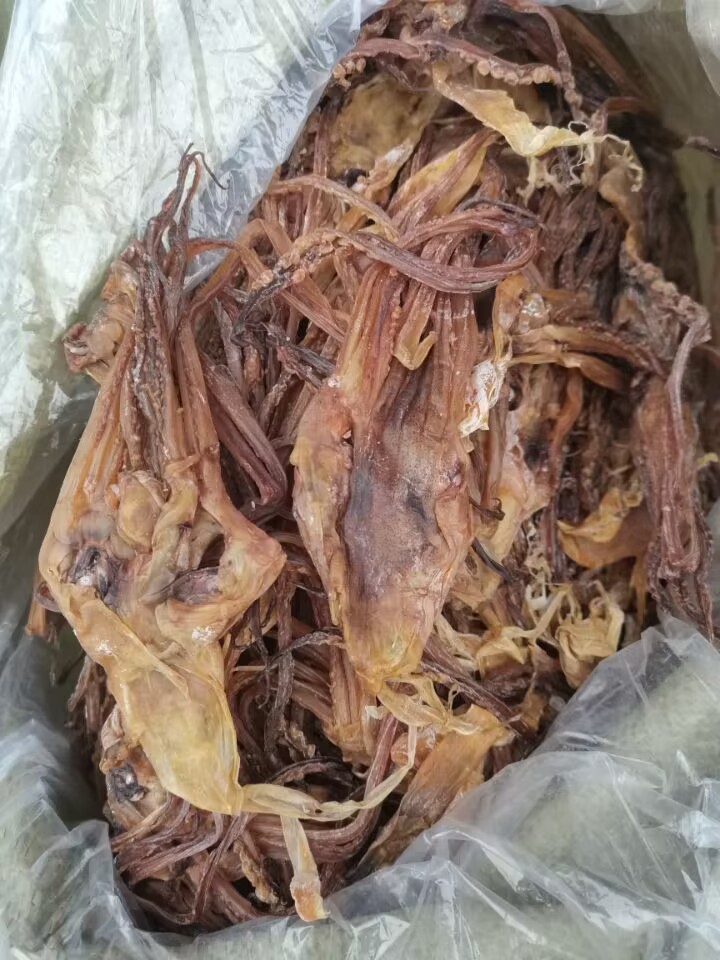 QQ图片20230113145959