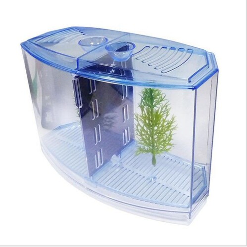 Large double fighting fish box ecological fighting fish tank mini aquarium plastic isolation box breeding box betta fish guppy