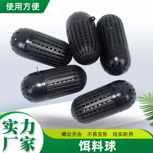 �T�D���~�D���D������������ �O�W�O���~�D�S��