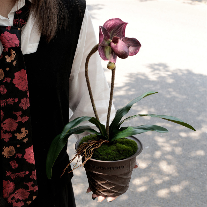 甘筒植木鉢1点創造性高颜値盆栽花瓶陶磁器高級感デスクトップ装飾品プレゼント|undefined