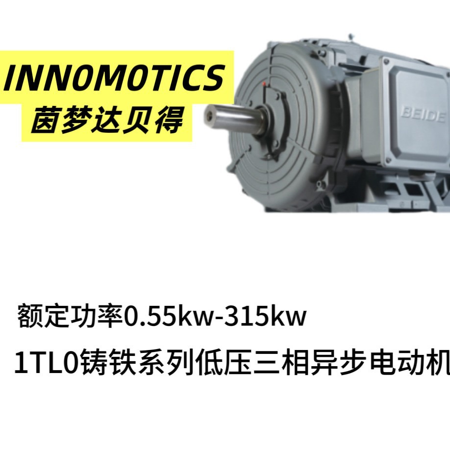 茵梦达贝得电机1TL00系列22KW-6P-B3/B5节能