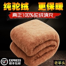 �����漃�q�������|�Ӻ�ů�������p�˱�о���ﱻ�ë���W����