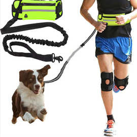 宠物跑步牵引绳运动腰包牵引带尼龙反光夜跑牵引绳跑步遛狗腰包