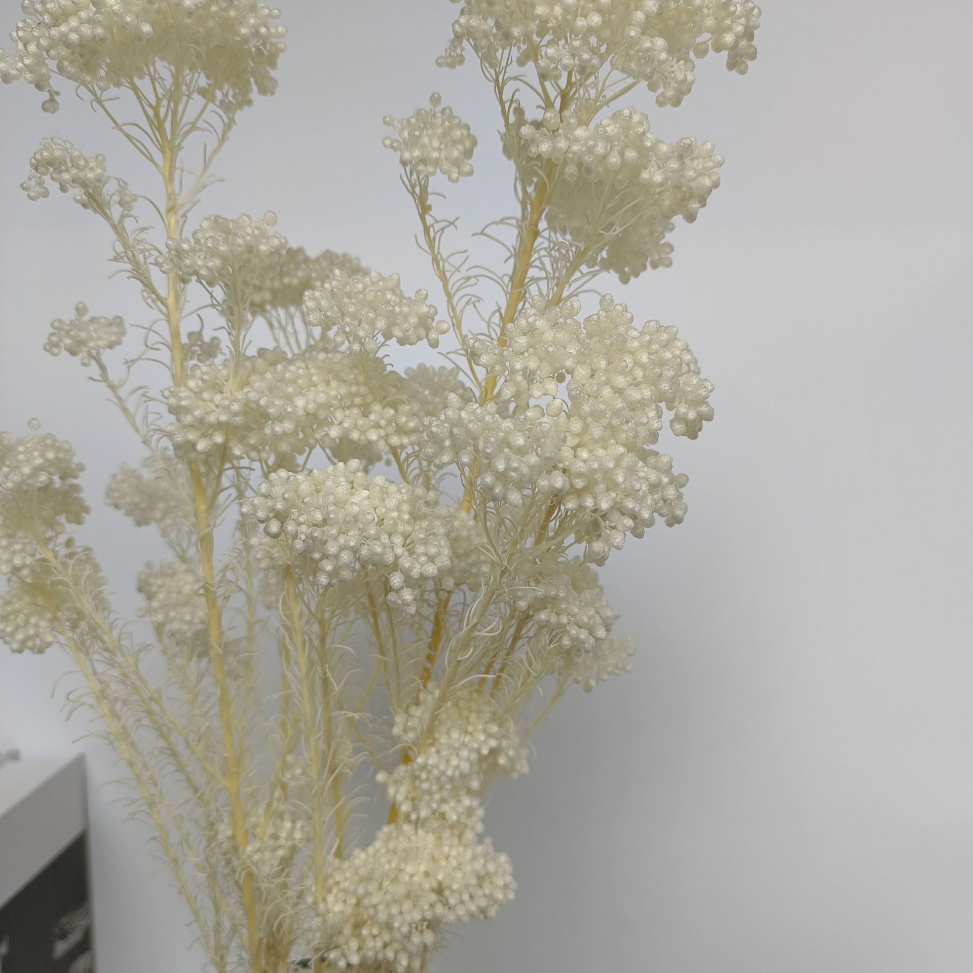 Eternal Flower Millet Flower Dried Flower Bouquet Aroma Diffuser DIY Flower Material 100g Yunnan Manufacturer Wholesale Millet Flower Home Decor