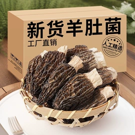 脱水蔬菜;核桃;其他干货