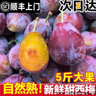 ��÷�r�������rˮ�������������ӷ��m�������{�۴���÷�r��Y��