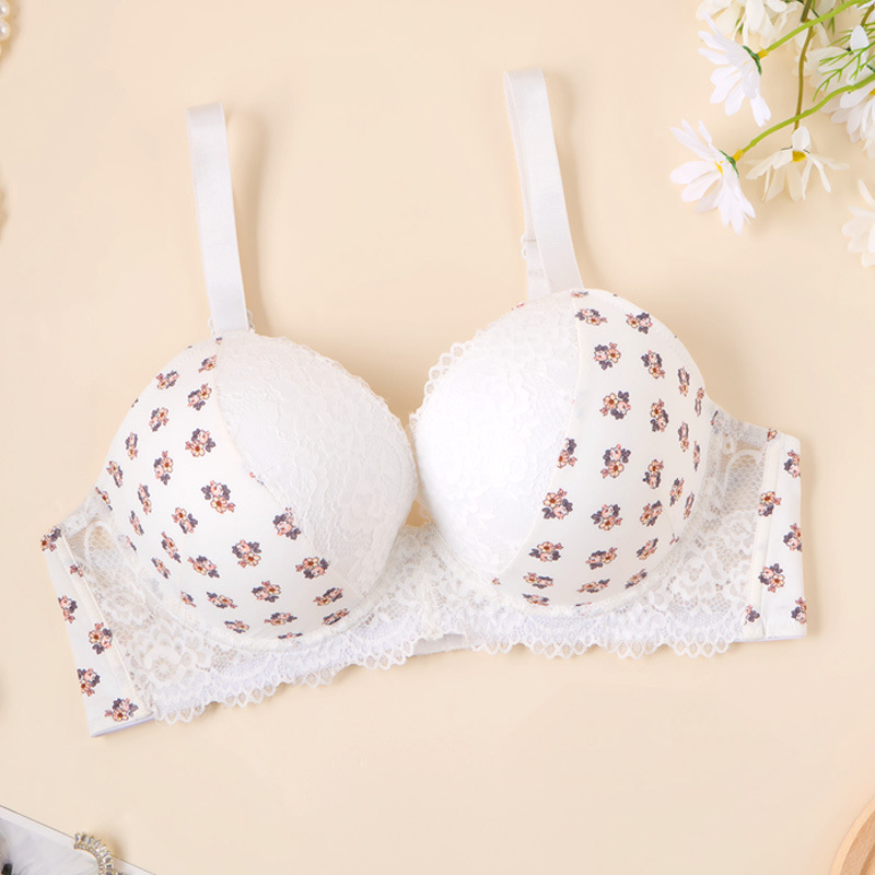 Europa y Estados Unidos transfronterizos aumentan el tamaño de la impresión de encaje del bra grande se reúnen en la parte superior de la ropa interior de pecho grande para mujeres pequeñas image 4