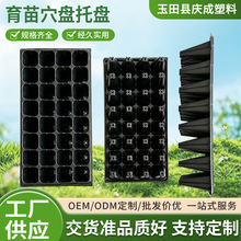 黑色塑料育苗穴盘多孔育苗托盘园艺种植培盘多规格蔬菜花卉育苗盘