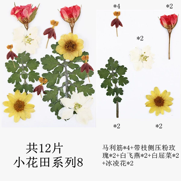 Xiaohua Field Series 8