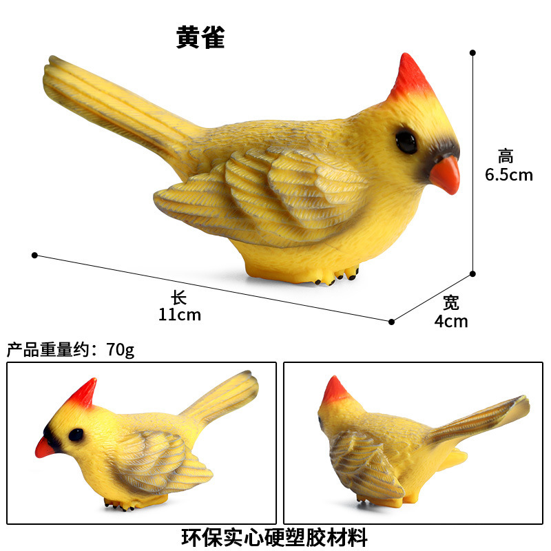 1385 oriole