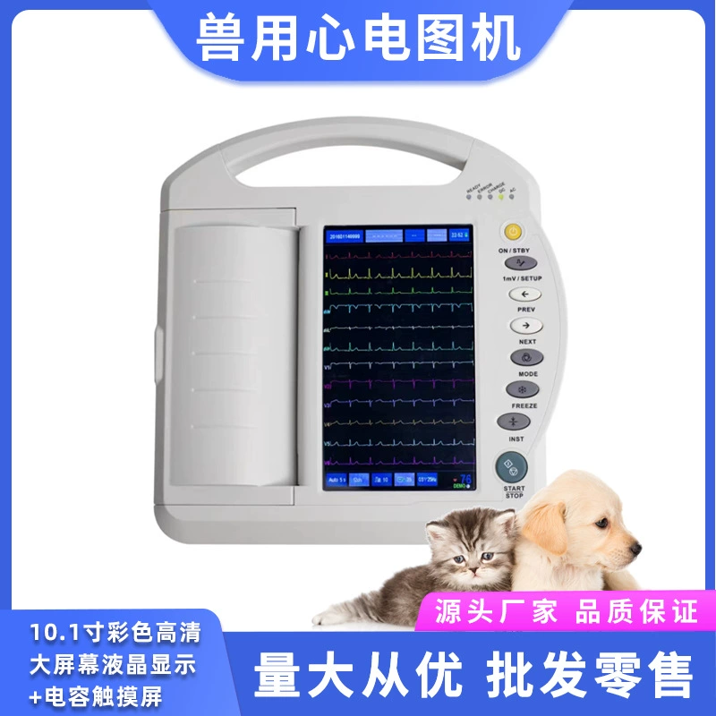 ECG-1212A ЭКГ-машины для домашних животных