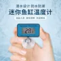 水温潜水式电子迷你水温表