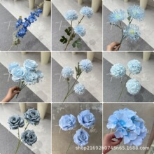 �{ɫϵ���滨���Ļ�Y��ܛ�b����õ����滨�b����~�����m�~��