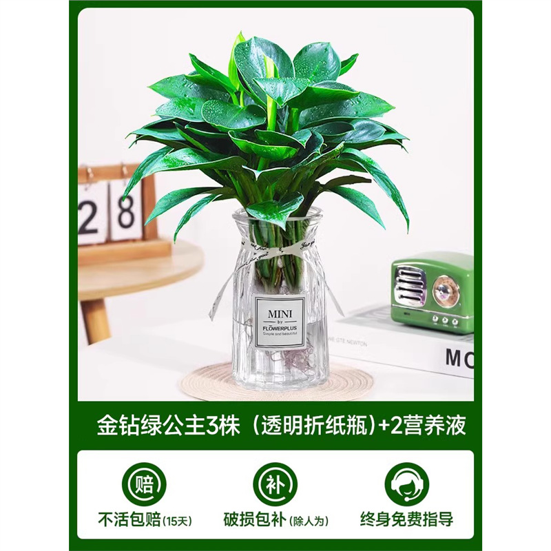 고급 대형 금다이아몬드 3개(투명 종이접기 라벨병) + 크리스탈 머드 + 영양액 2개