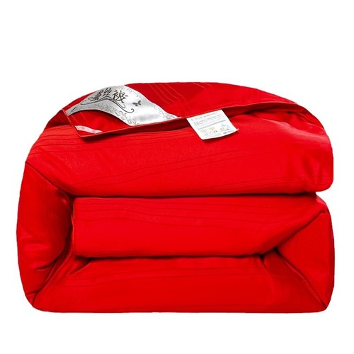 Wedding Silk Quilt 100% Mulberry Silk Winter Quilt with Thick Padding Warm Cover Comforter Core Red Happy Quilt Dual-Personal Wedding Dowry