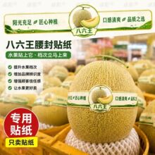 �����������N���r������������̳����������ܹ�ͨ��������R�N��