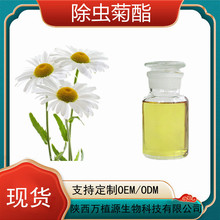 ���x����50% ���x�շ� ���x����  �M���x���� �fֲԴ�F؛���S