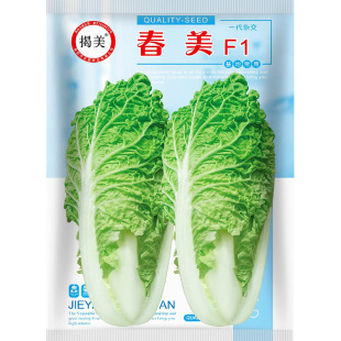 ���طNֲ�s��һ����z�ײ˷N�� ���°ײ� �o��ëƷ�N ԭ�b50��