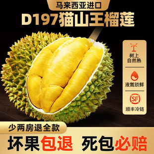 ��S���]�R�������M��؈ɽ����ɏ����D197D200Һ�������ɏˮ��