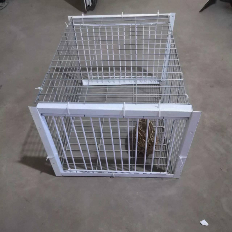 鸽子撞门笼 自动撞门笼活络门帘子门信鸽进笼口进门自动门鸽子笼|undefined
