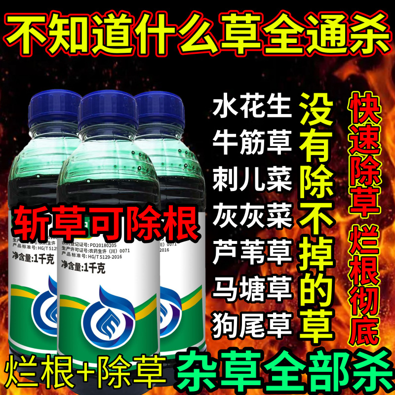 不知道什么草全通杀草剂斩草除根荒地果园专用除草剂草铵膦除草