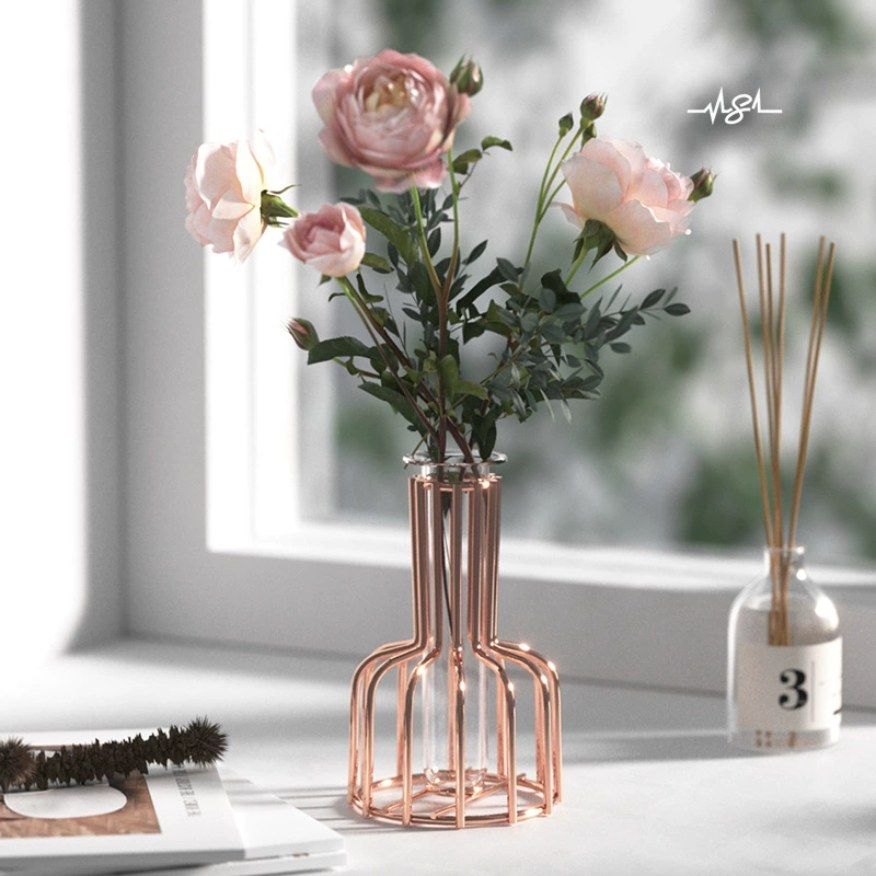 Скандинавская ваза из железа и стекла для цветов, гальванизированная, для гидропоники, украшение для дома, столовой, рабочего стола, гостиной, для зеленых растений и сухоцветов