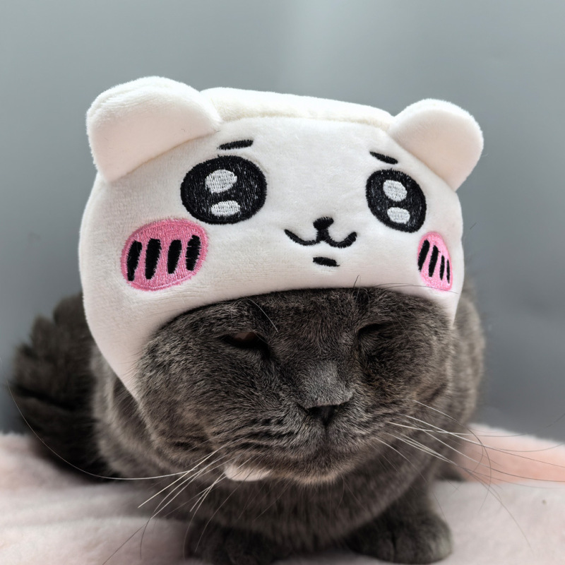日本系アニメchiiawa吉伊卡わぁ猫犬通用写真道具保温ペット頭カバー帽子|undefined