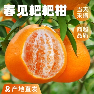 �Ĵ���Ҋ�ҰҸ̕r�����rˮ�������������ڳ������10��������θ�