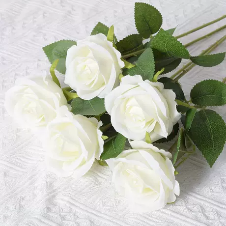 White (silk cloth version)