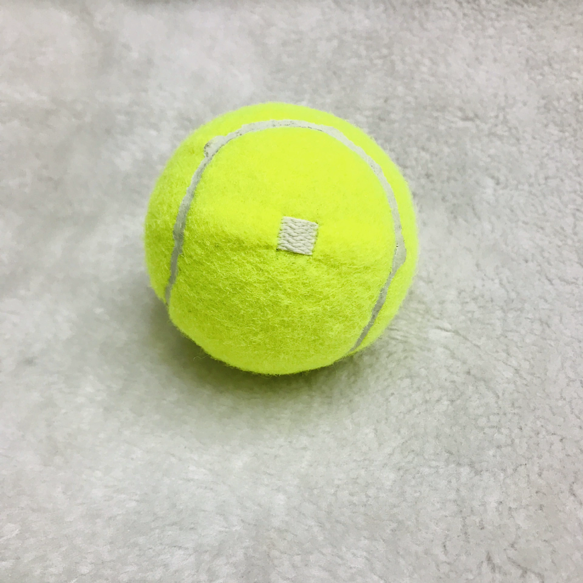 Tennis auxiliary practice for training for beginners for elementary school students with rope