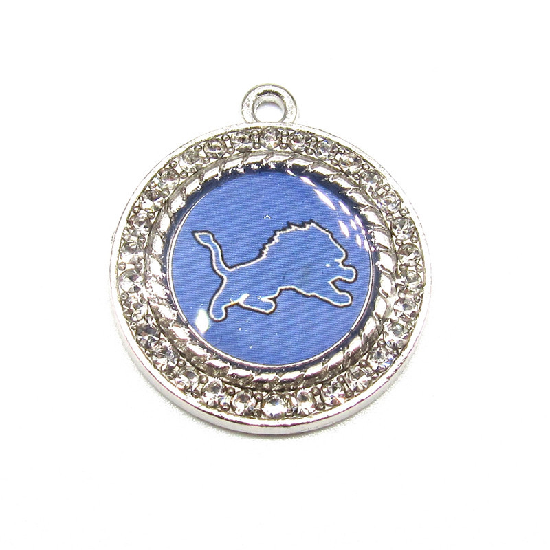 디트로이트 라이온스