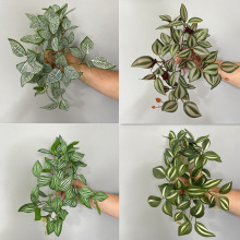 �S�ҬF؛���l����ֲ����ü�~ ������������~ ��ˇܛ�b���ԾW���~