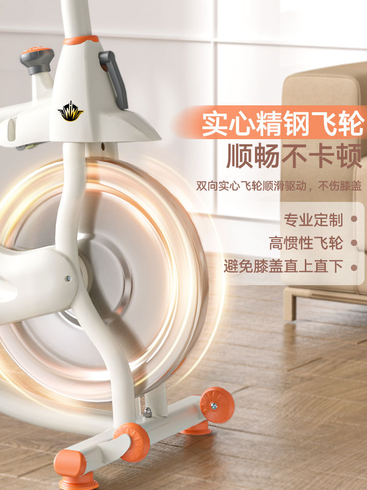 Inteligente de la quema de grasa bicicleta dinámica de control magnético casa Ejercicio de interior equipo de fitness pérdida de peso mudo bicicleta deportiva