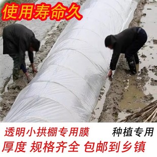 Small Arch Greenhouse with Two Layers of Transparent Plastic Film, Plastic Sheet, Mulch Film for Agricultural Seedling Protection, Cold Insulation, Vegetable Planting, and Dust Prevention