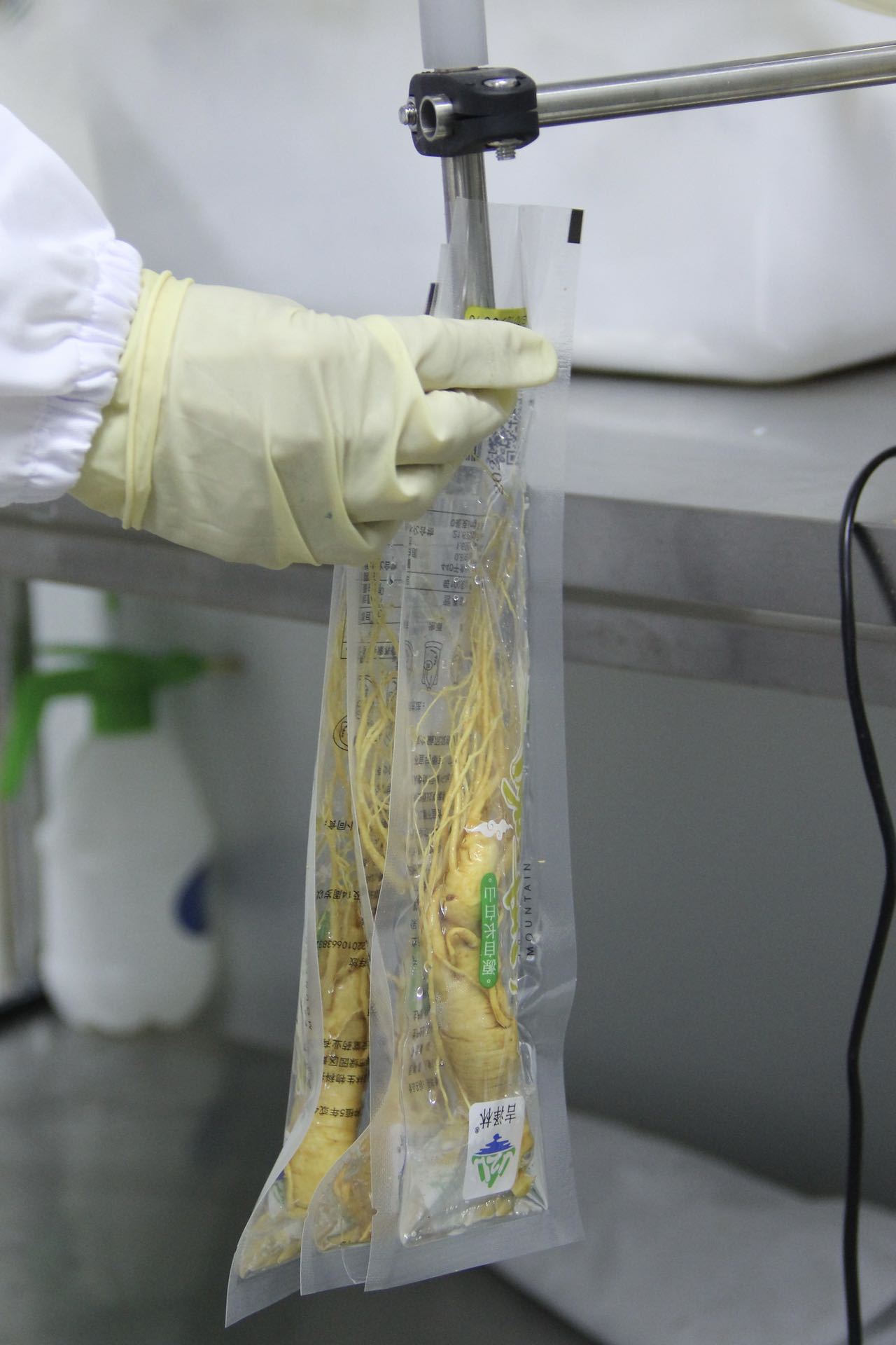 Changbai Mountain Fresh Ginseng Root Preserved for Wine and Cooking specifications