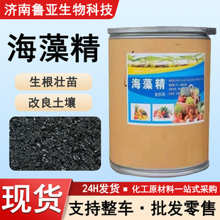 ����ø��΢�w�����徫���a���|�����ɫ������������纣�徫