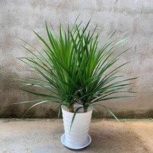 ���w��횘�������Ѫ���k���ҿ͏d���;Gֲֲ���҃ȾGֲ���^���F��