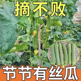 �߮a�ش���z�������m�ϴ���N�Ĳ����ļ��߲����ȫ����