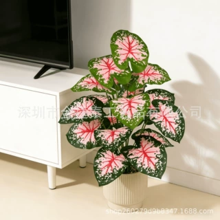 北欧风仿真绿植五彩芋紫罗兰盆栽客厅室内装饰婚庆塑料假植物批发
