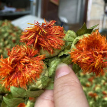 �a�ع����ܵؔ������t����չ�N���ؼt���t���^�t���z �t�����l