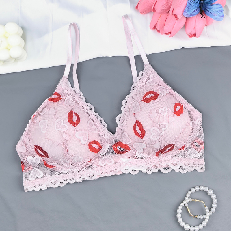 Transfronterizos tamaño europeo y americano marca labial de encaje transpirable delgado bordado damas bra comercio exterior bra Amazon al por mayor