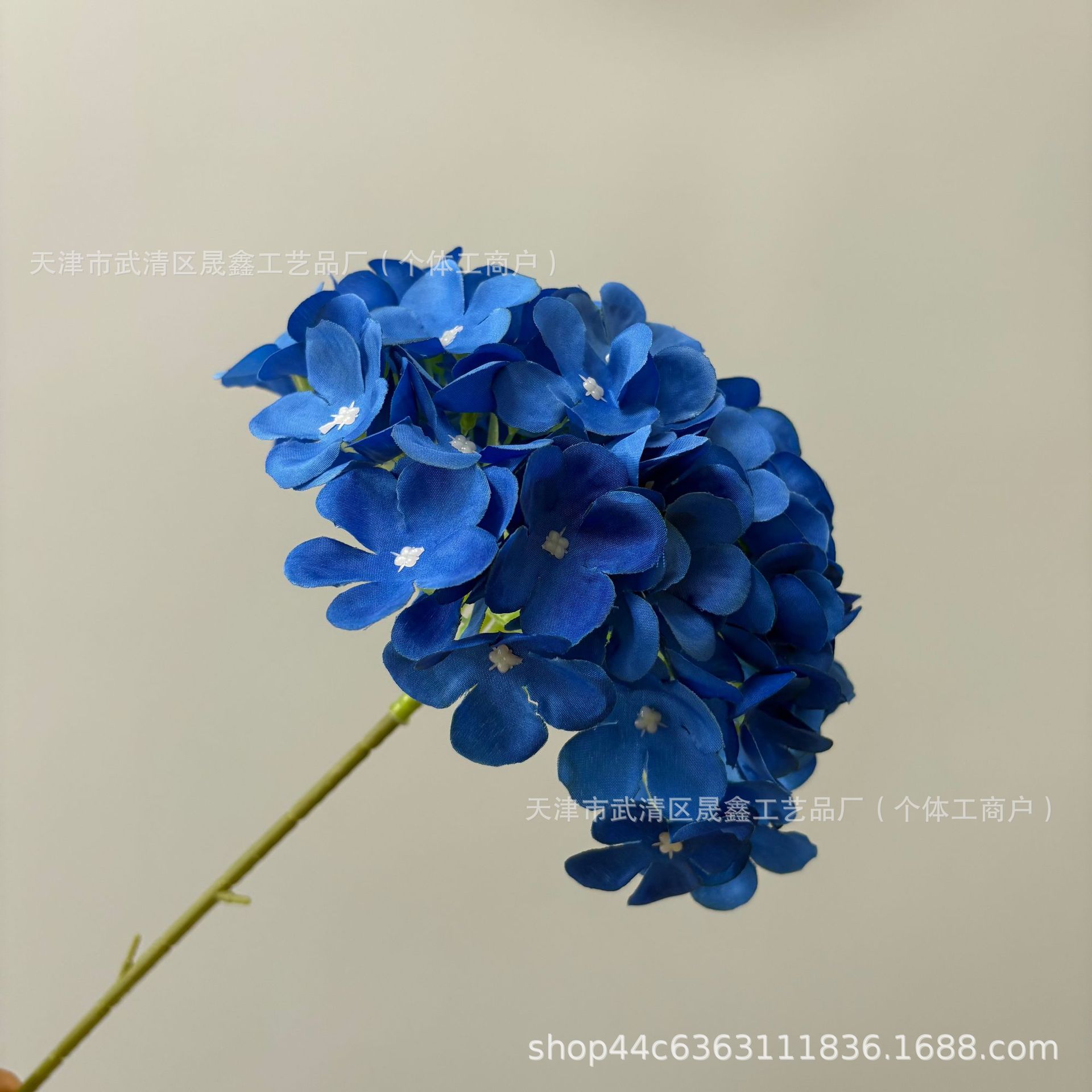 Blue-k