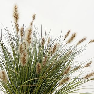 ��� ins�L����Gֲ13�^ëë�x���JȔ�����̈��쾰ֲ�ﾰ�^�b�